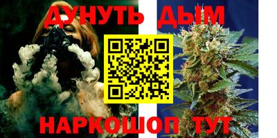 сатива Дубна