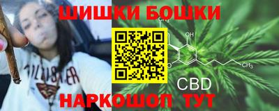 сатива Дубна