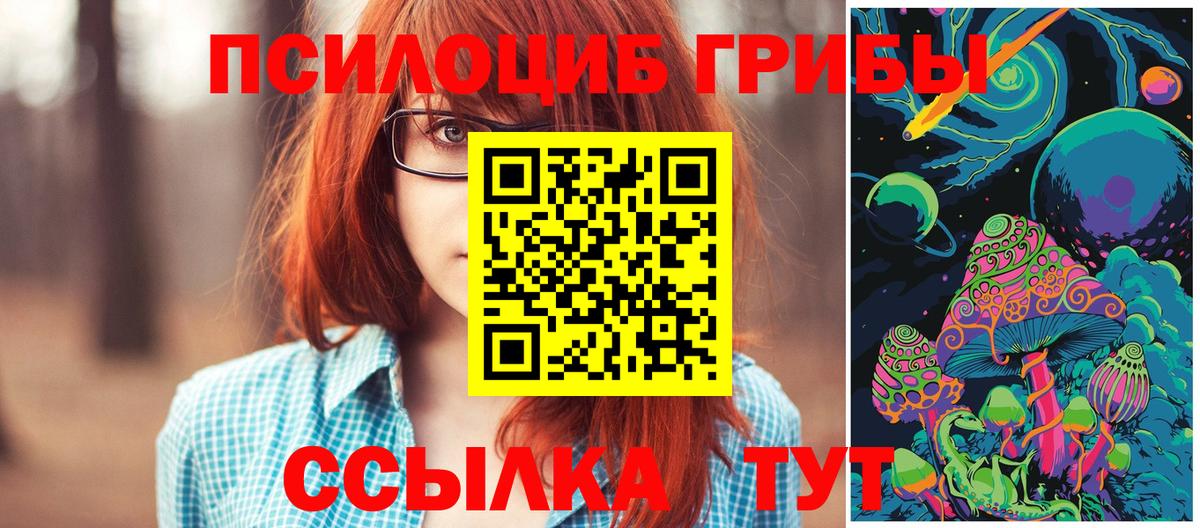 Галлюциногенные грибы мухоморы Скопин